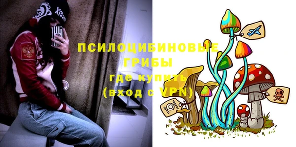 ешки Магас
