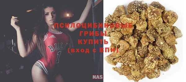 ешки Магас