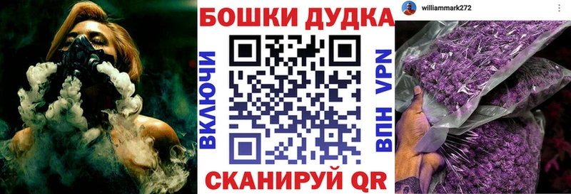 Купить где  Елизово  МАРИХУАНА семена 